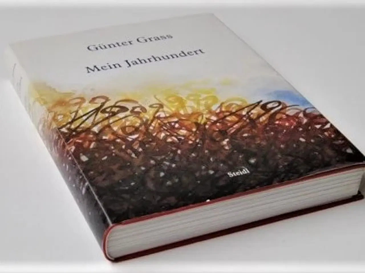 Billede 1 - Mein Jahrhundert af Günther Grass (tysk)