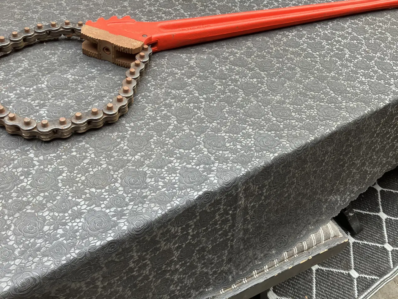 Billede 6 - Kæderørtang