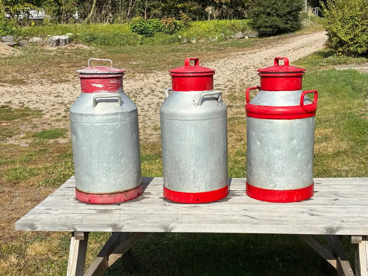 Billede 1 - Mælkejunger