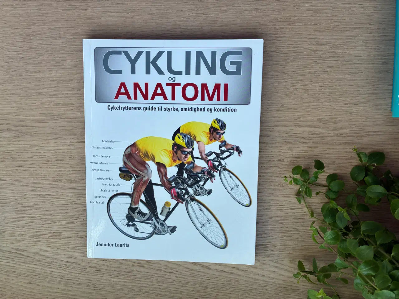 Billede 1 - CYKLING og ANATOMI