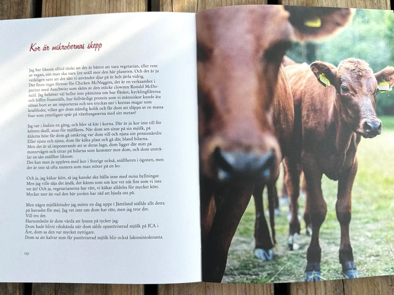Billede 7 - Stefans Store Feta Röta – Stefan Sundström
