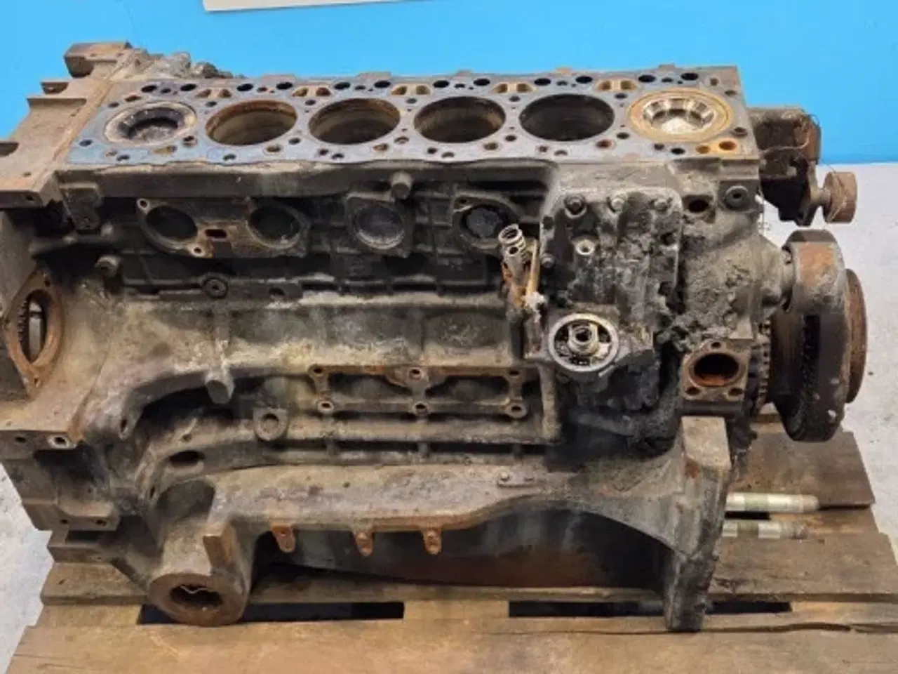 Billede 16 - Iveco F4DGE617D*V007 Motor 51485058