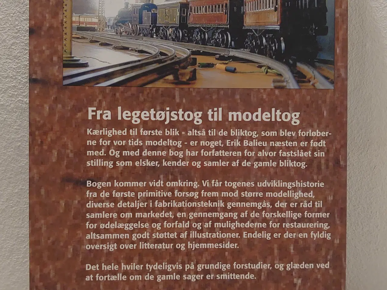 Billede 2 - Erik Balieu: Bliktog. Udg 2008. Som ny.