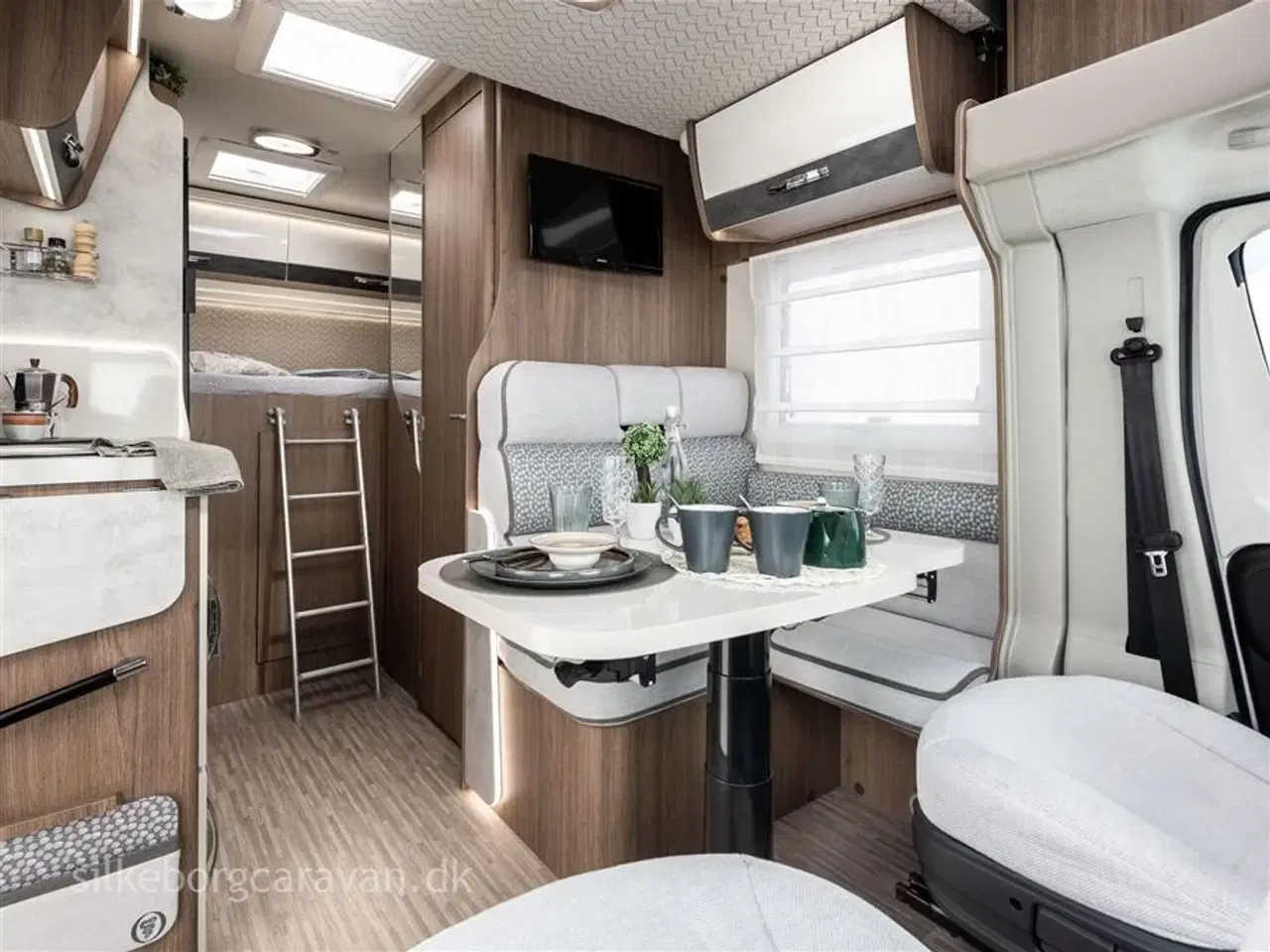 Billede 6 - 2026 - Elnagh Baron 531
