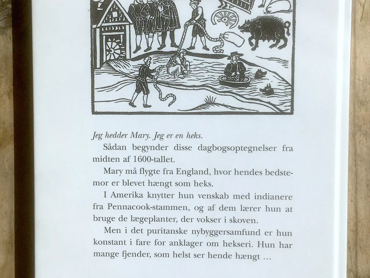 Billede 2 - Mary - heksens datter,  Celia Rees, genre: drama, 