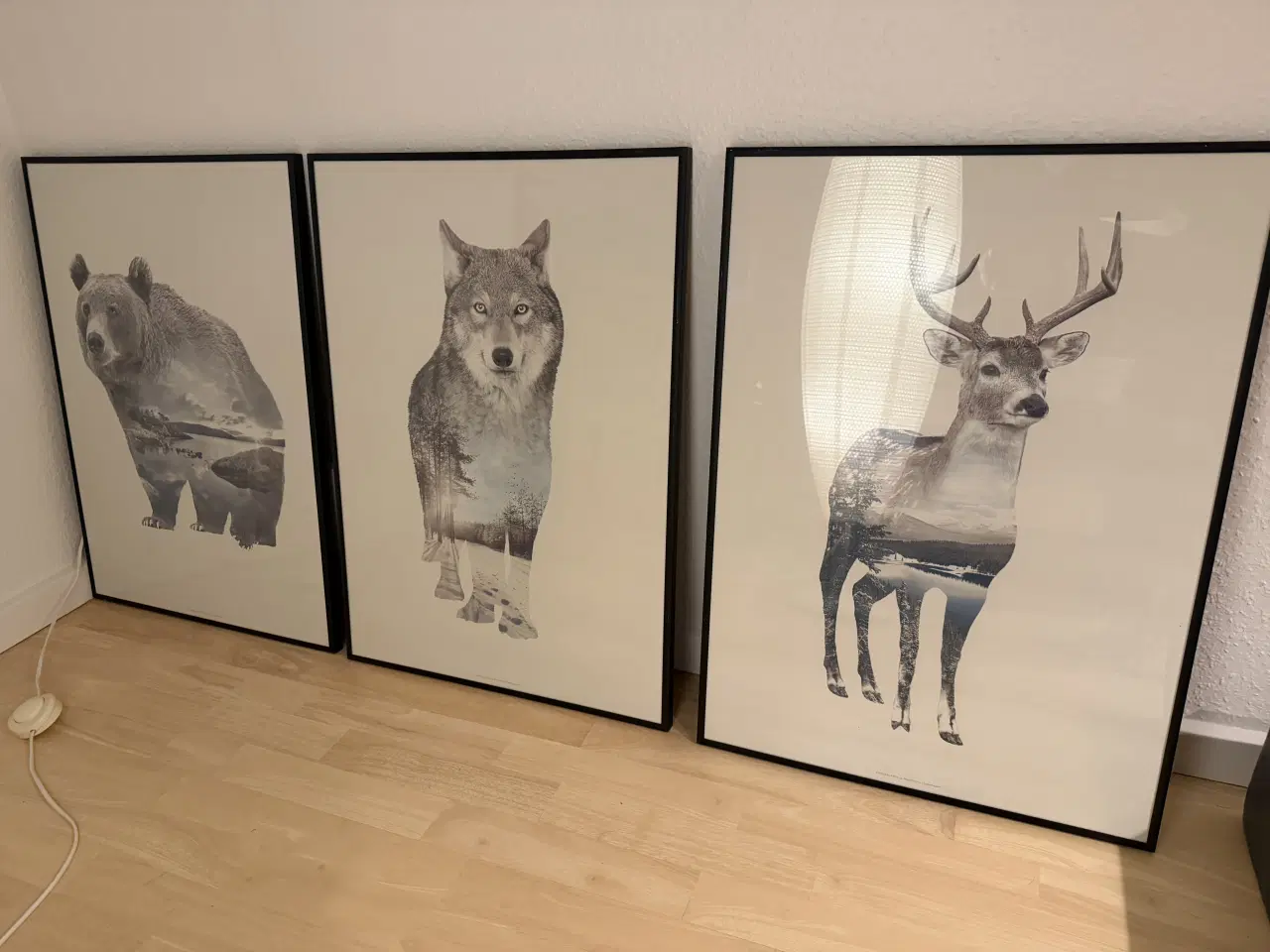 Billede 1 - 3 x sort/hvid væg billeder