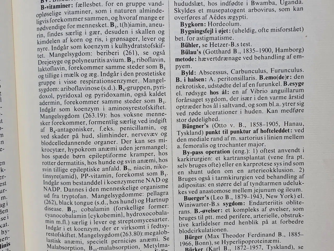 Billede 2 - Klinisk ordbog