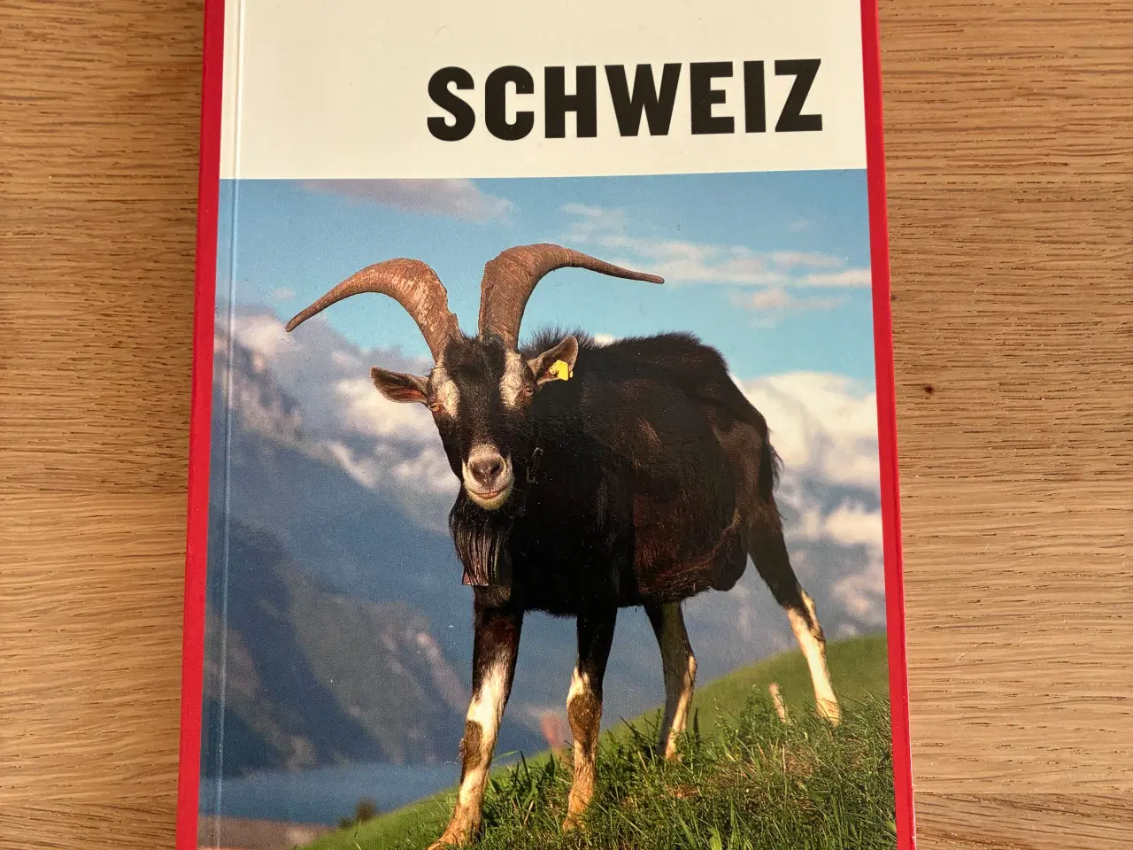 Billede 2 - Turen går til SCHWEIZ