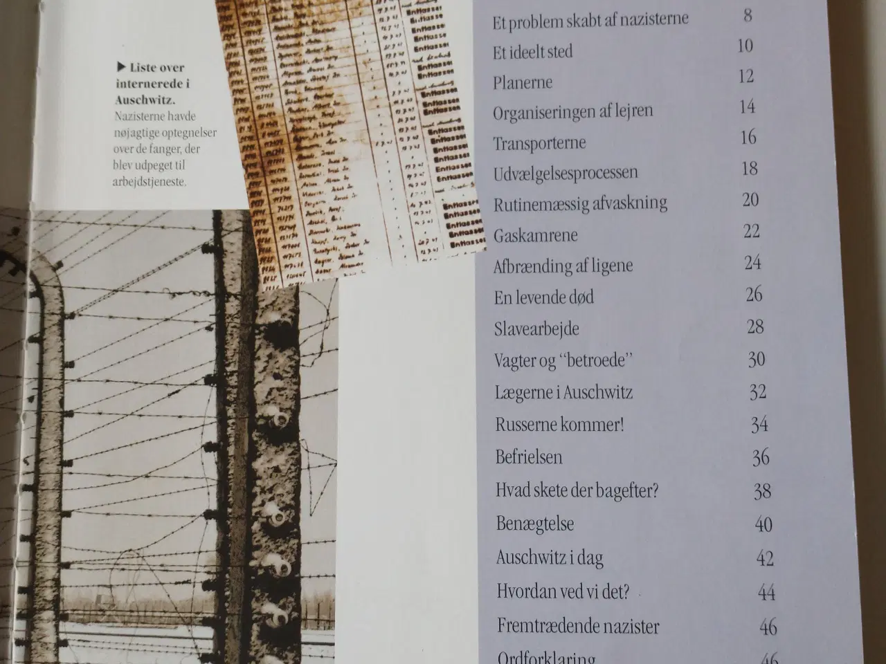 Billede 3 - Auschwitz - Historien om en naziztisk udryddelsesl