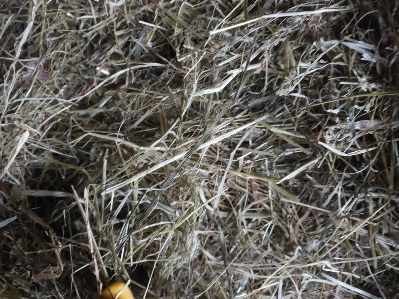 Billede 2 - Wraphø - 50 baller fra 2024 - rest parti