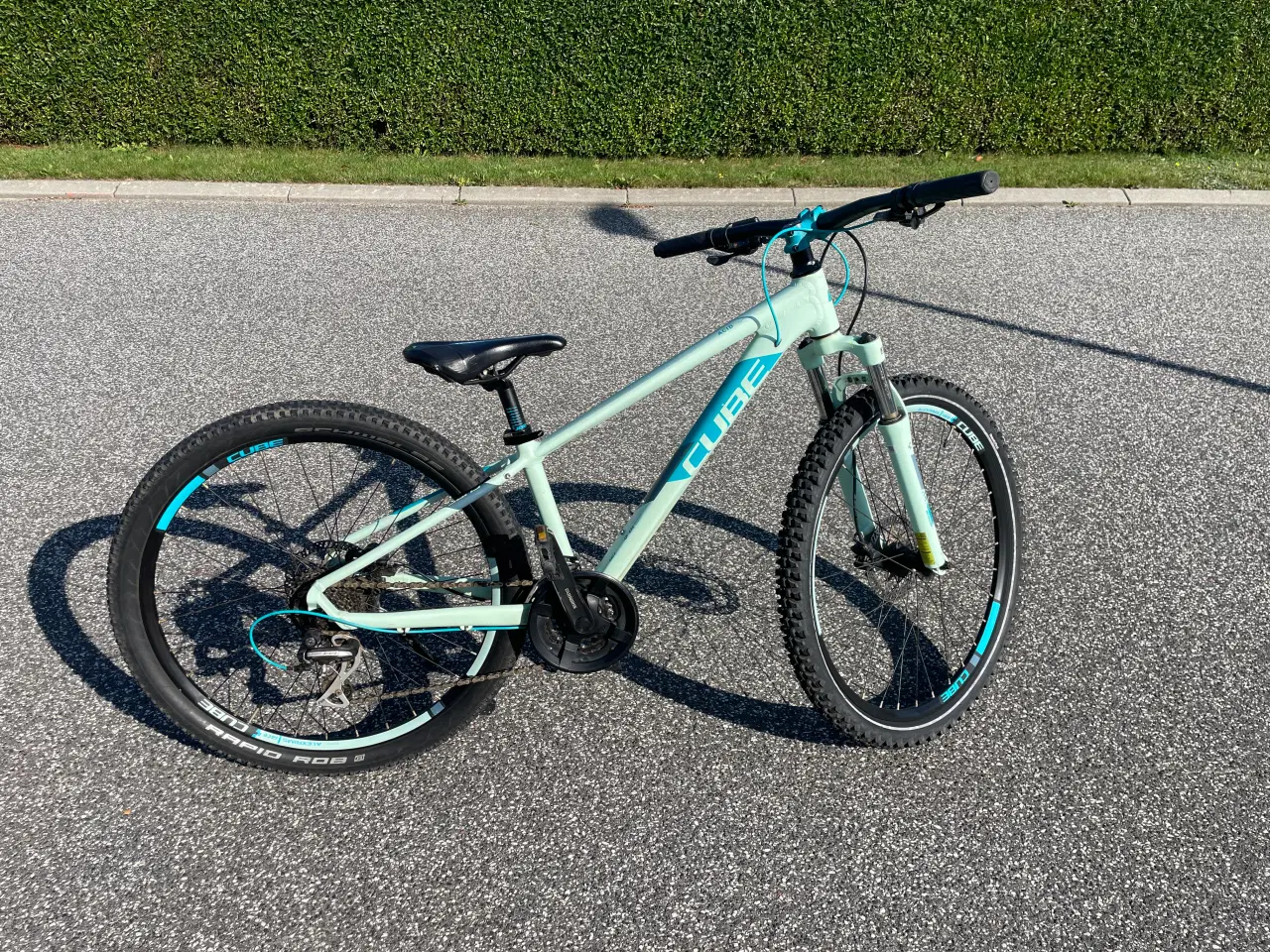 Billede 2 - CUBE ACID 260