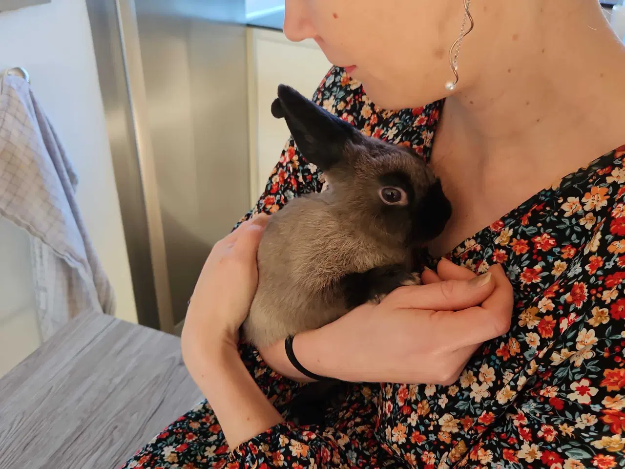 Billede 5 - Kanin grå/sort 1/2 år