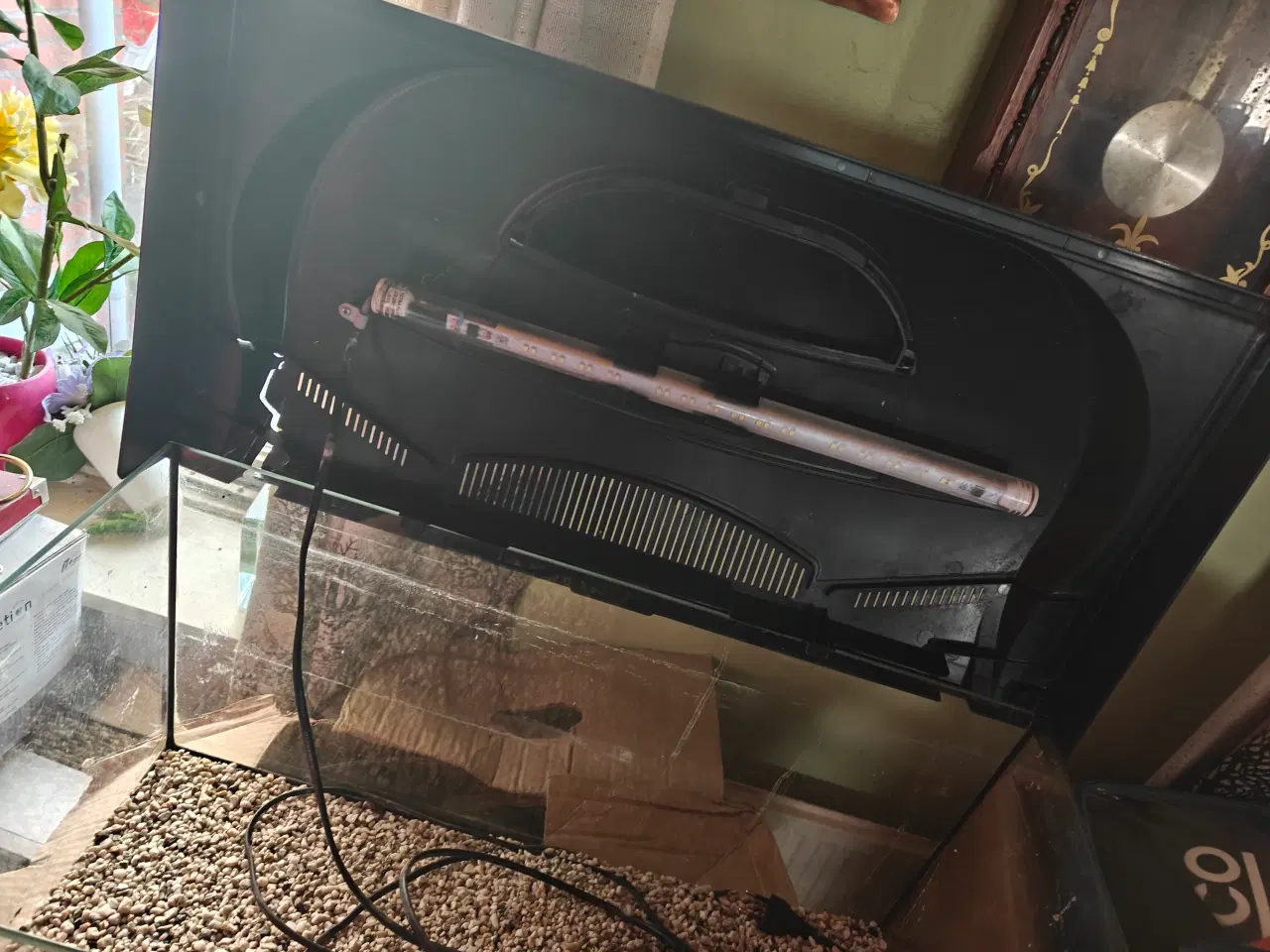 Billede 2 - Begynder akvarie