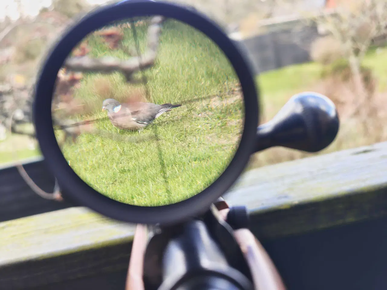 Billede 1 - Marlin 17 HMR salonriffel + Leopold RedField sigte