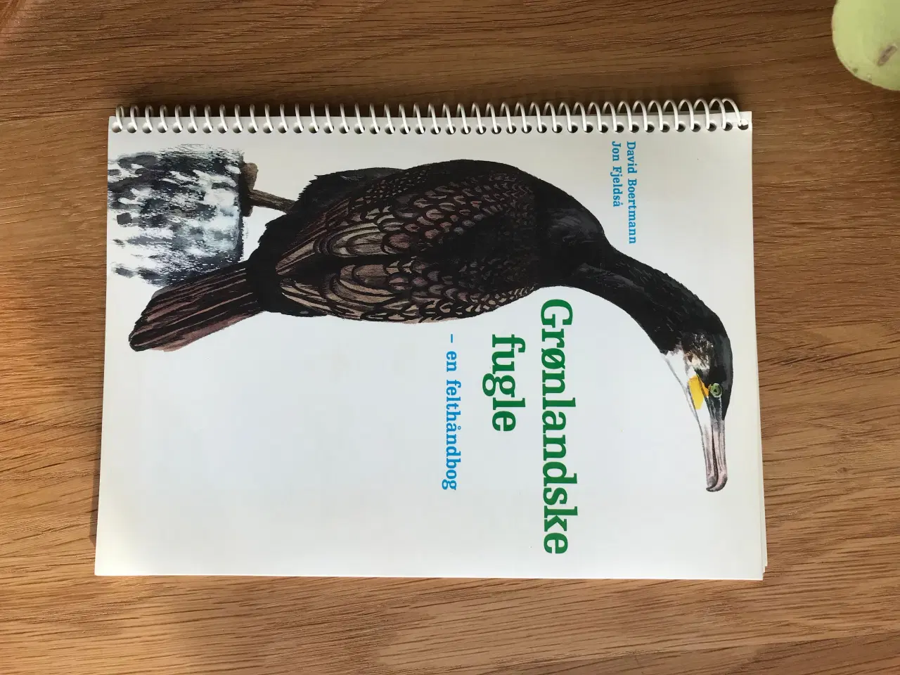 Billede 1 - Grønlandske fugle  -  en felthåndbog