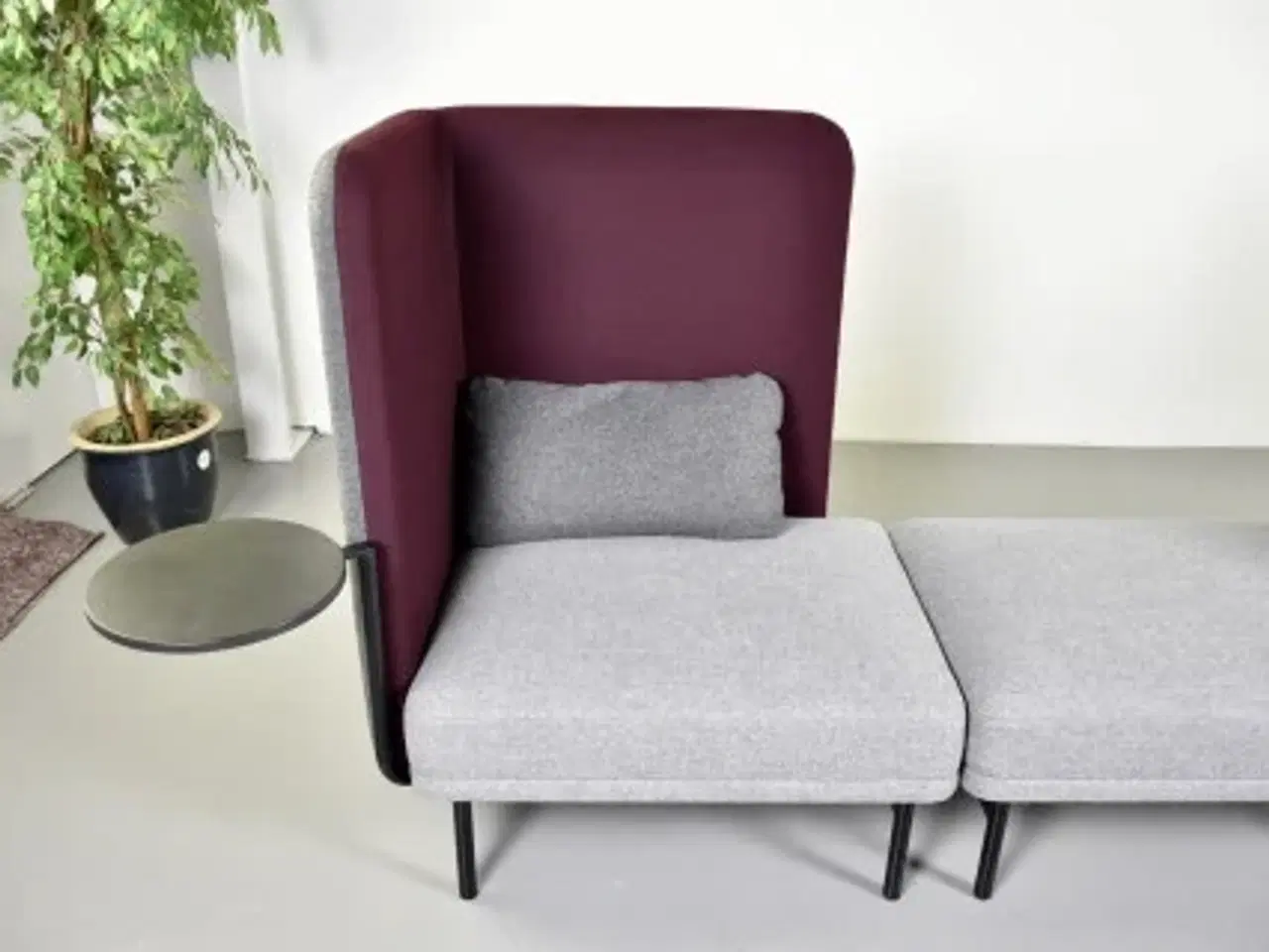 Billede 6 - Softrend frankie lydabsorberende sofa i grå og bordeuax