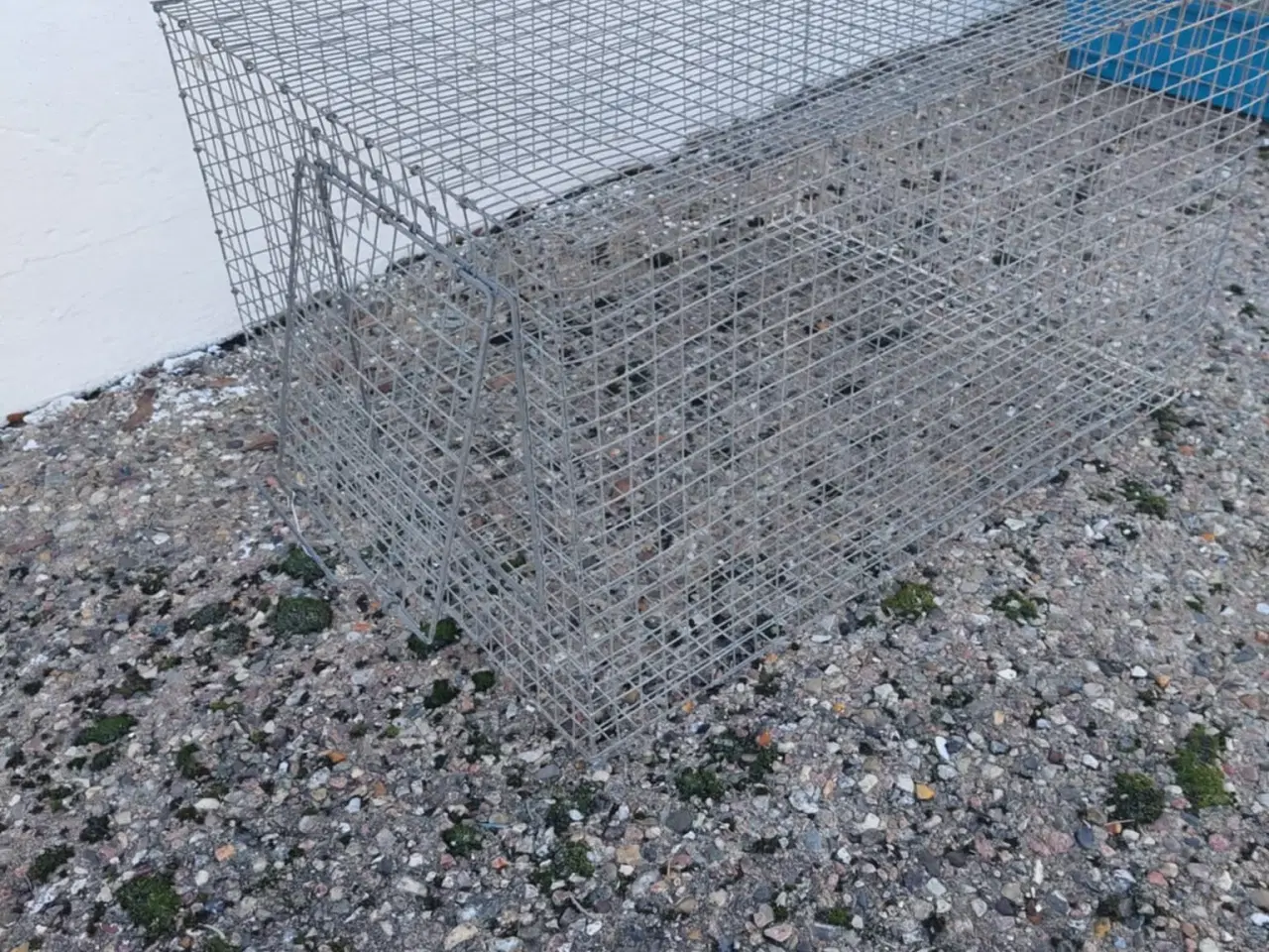 Billede 1 - Tråd bur sælges