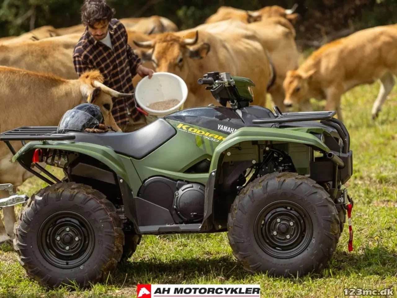 Billede 6 - Yamaha Kodiak 700 EPS STD