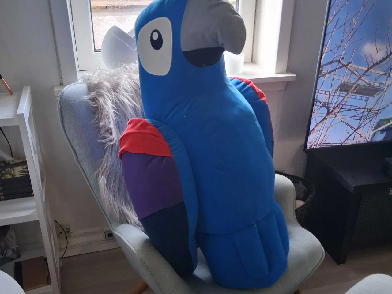 Billede 1 - Stor papegøje