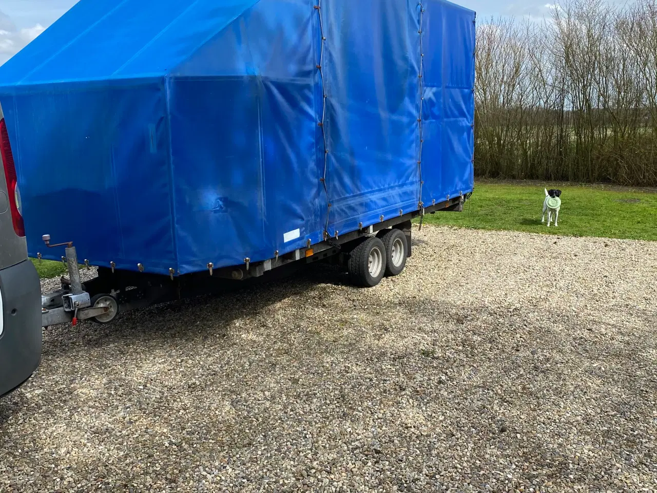 Billede 1 - Auto trailer 