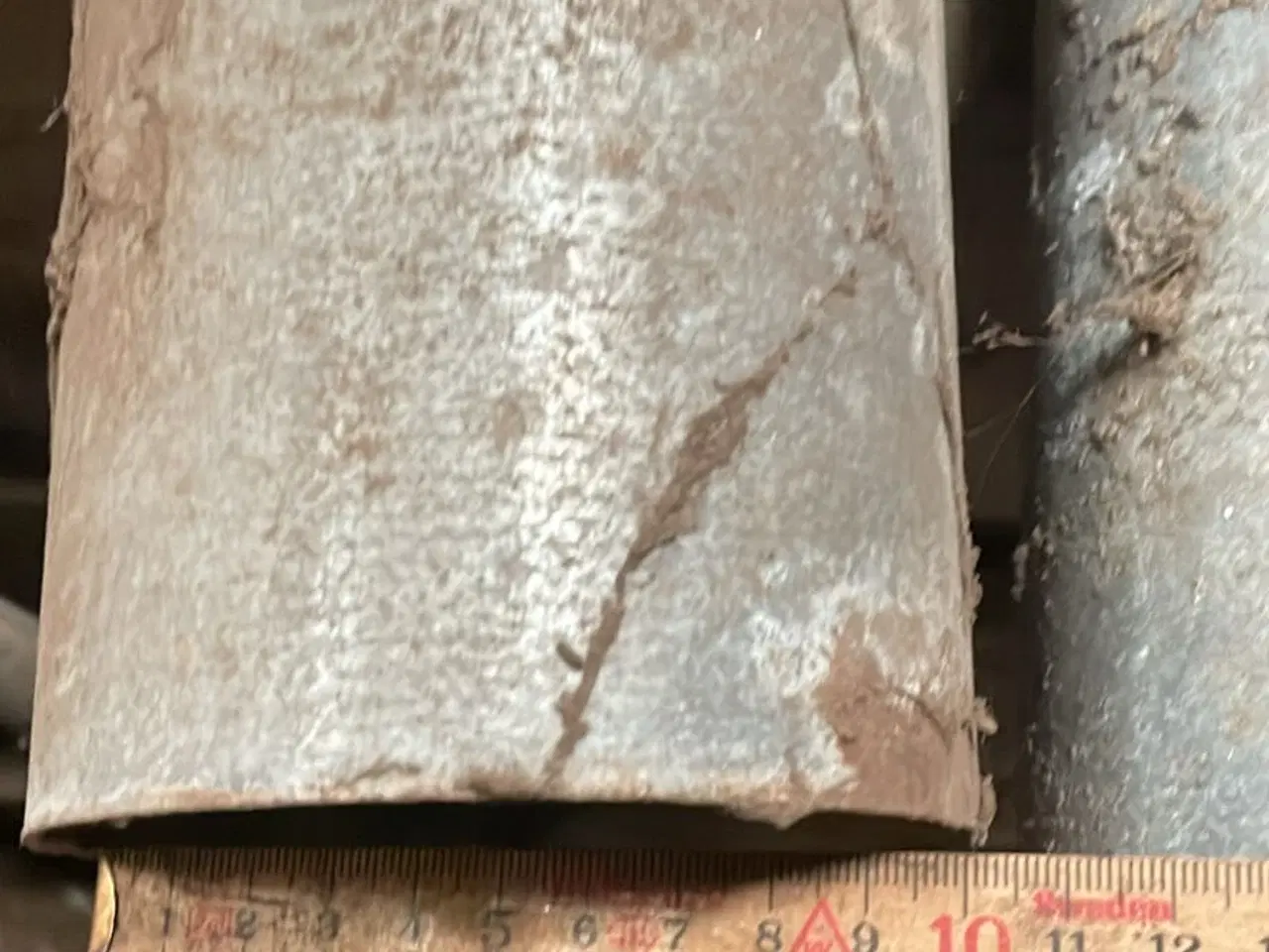 Billede 3 - Korn snegl 