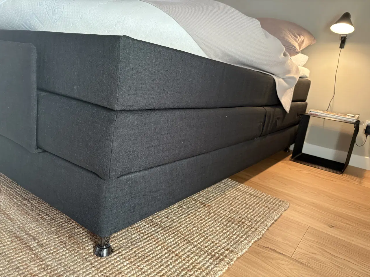 Billede 2 - Kontinentalseng med elevation