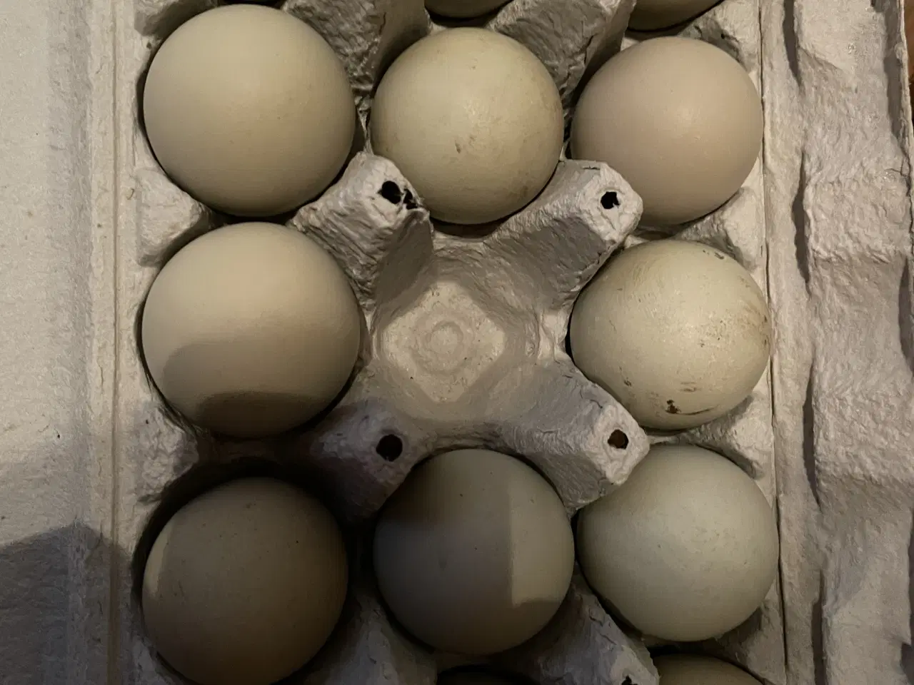 Billede 9 - Daggamle Silverruds blå, 8.3