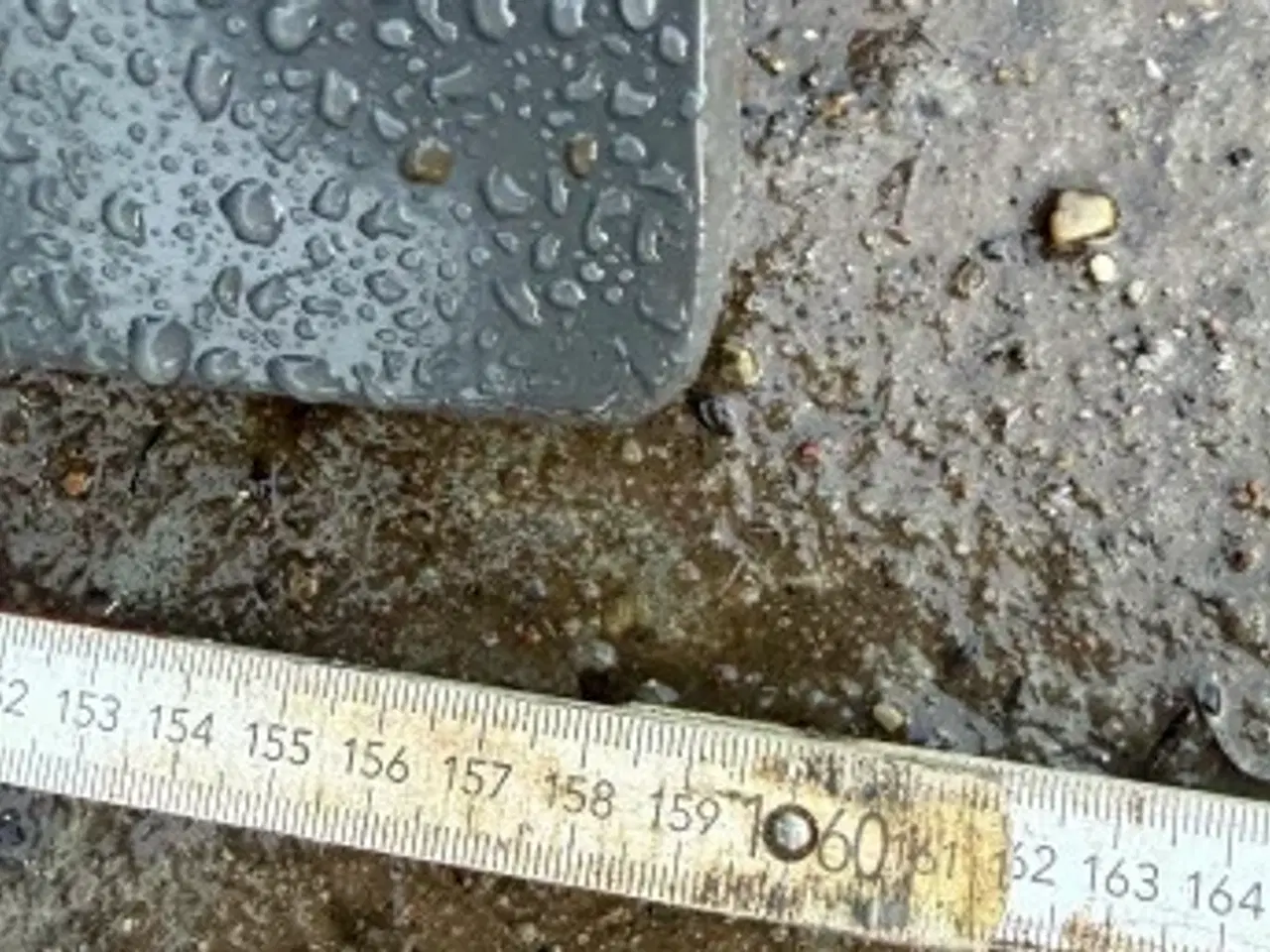 Billede 5 - Rodgreb til gravemaskine