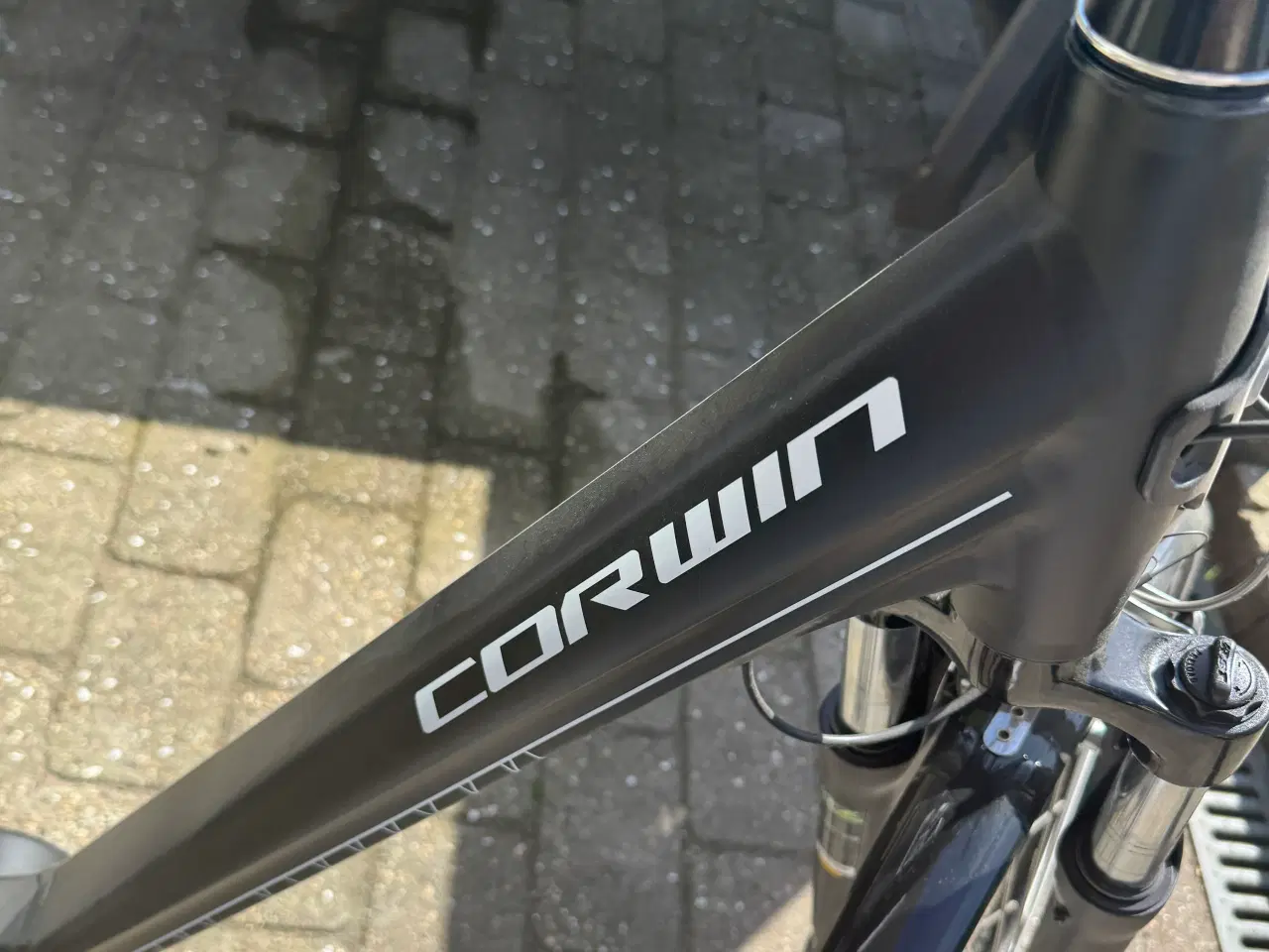 Billede 6 - Ny elcykel kun kørt 30 km