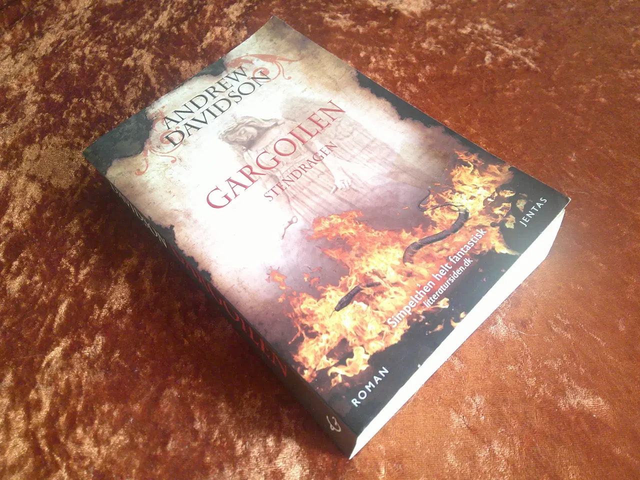 Billede 1 - Gargoilen, stendragen, Andrew Davidson