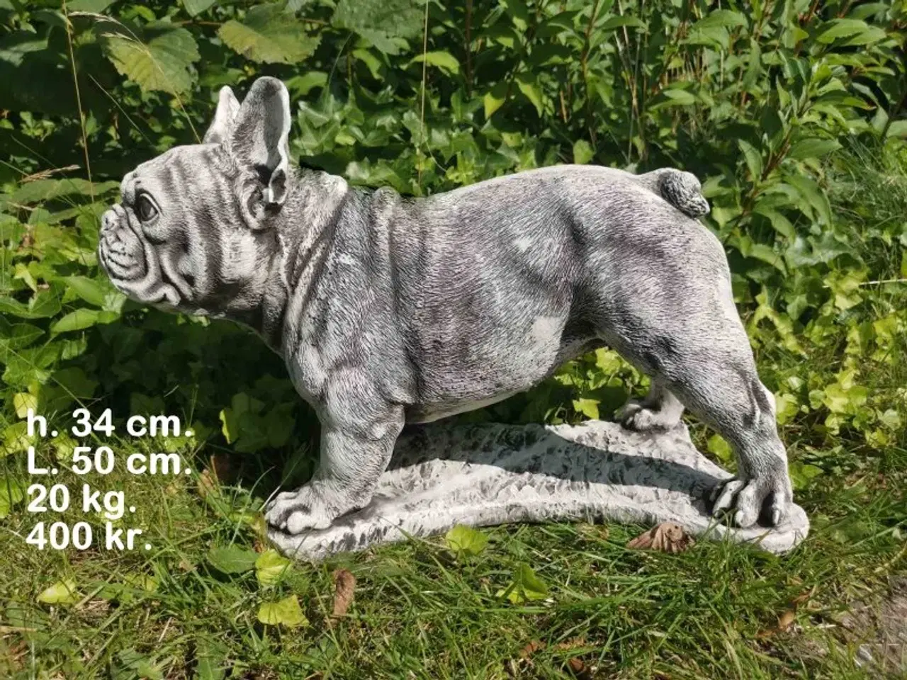 Billede 4 - HAVEFIGUR Smukke betonhunde – forskellige racer 🐾