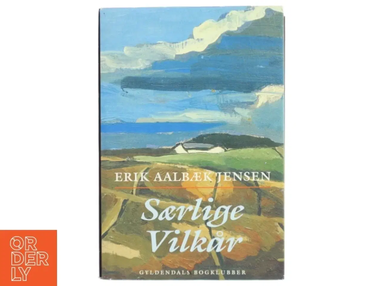 Billede 1 - Særlige vilkår : roman af Erik Aalbæk Jensen (Bog)