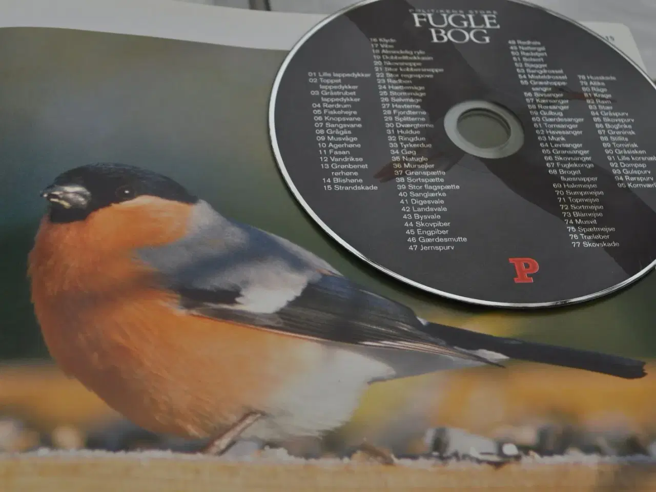 Billede 2 - Fugle og deres lyde på CD. Fantastisk!