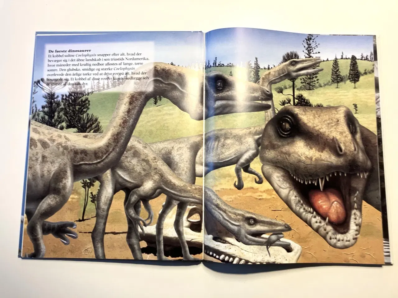 Billede 4 - Triastidens dinosaurer. Af Rupert Matthews