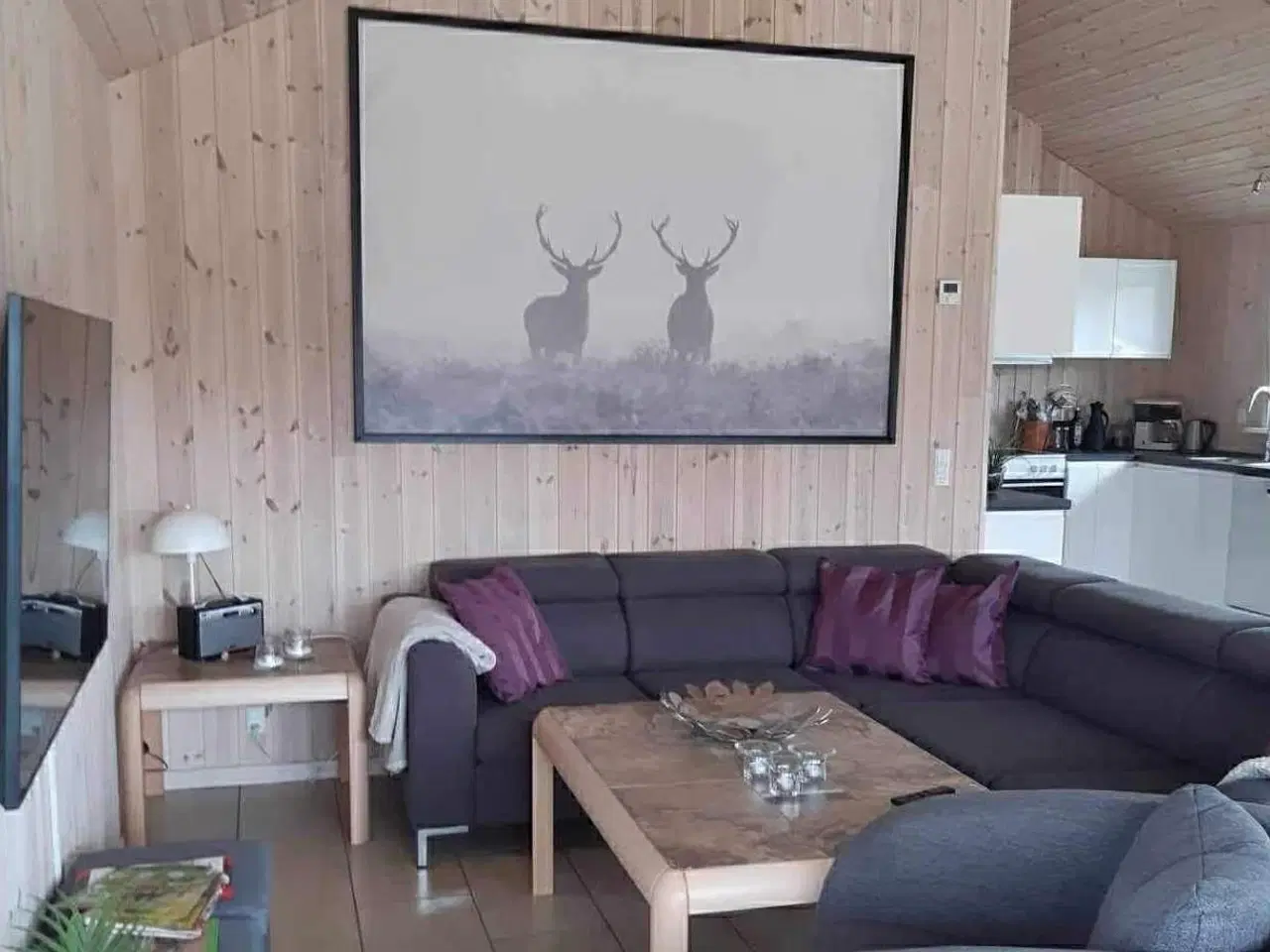 Billede 6 - Sommerhus udlejes …..hund tilladt