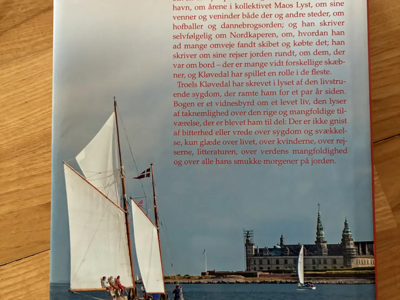 Billede 2 - Troels Kløvedal