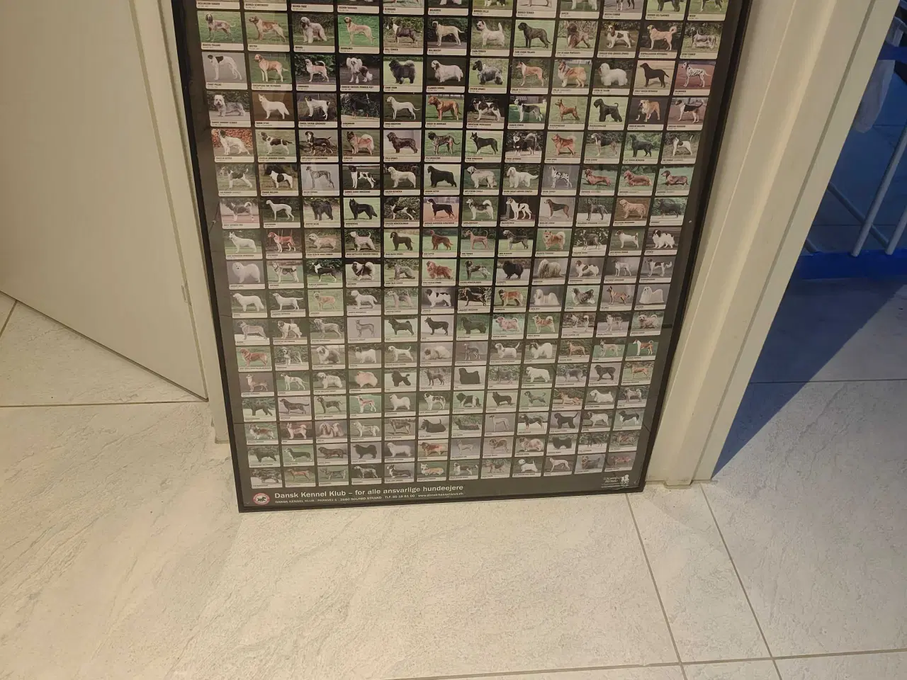 Billede 6 - Blander kunst