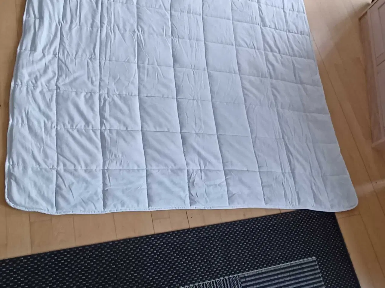 Billede 4 - Tyngdedyne