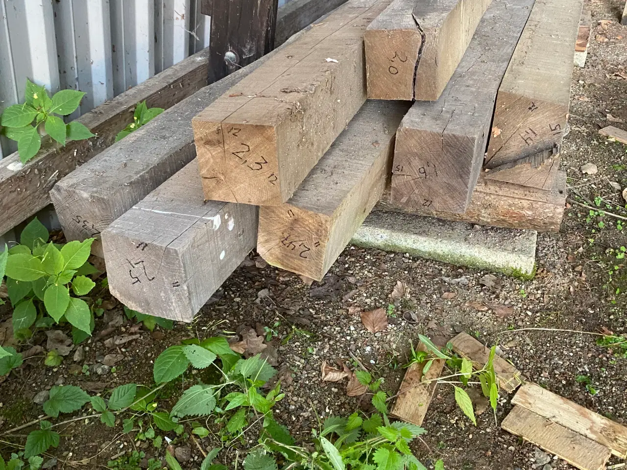 Billede 1 - Træ til bindingsværk