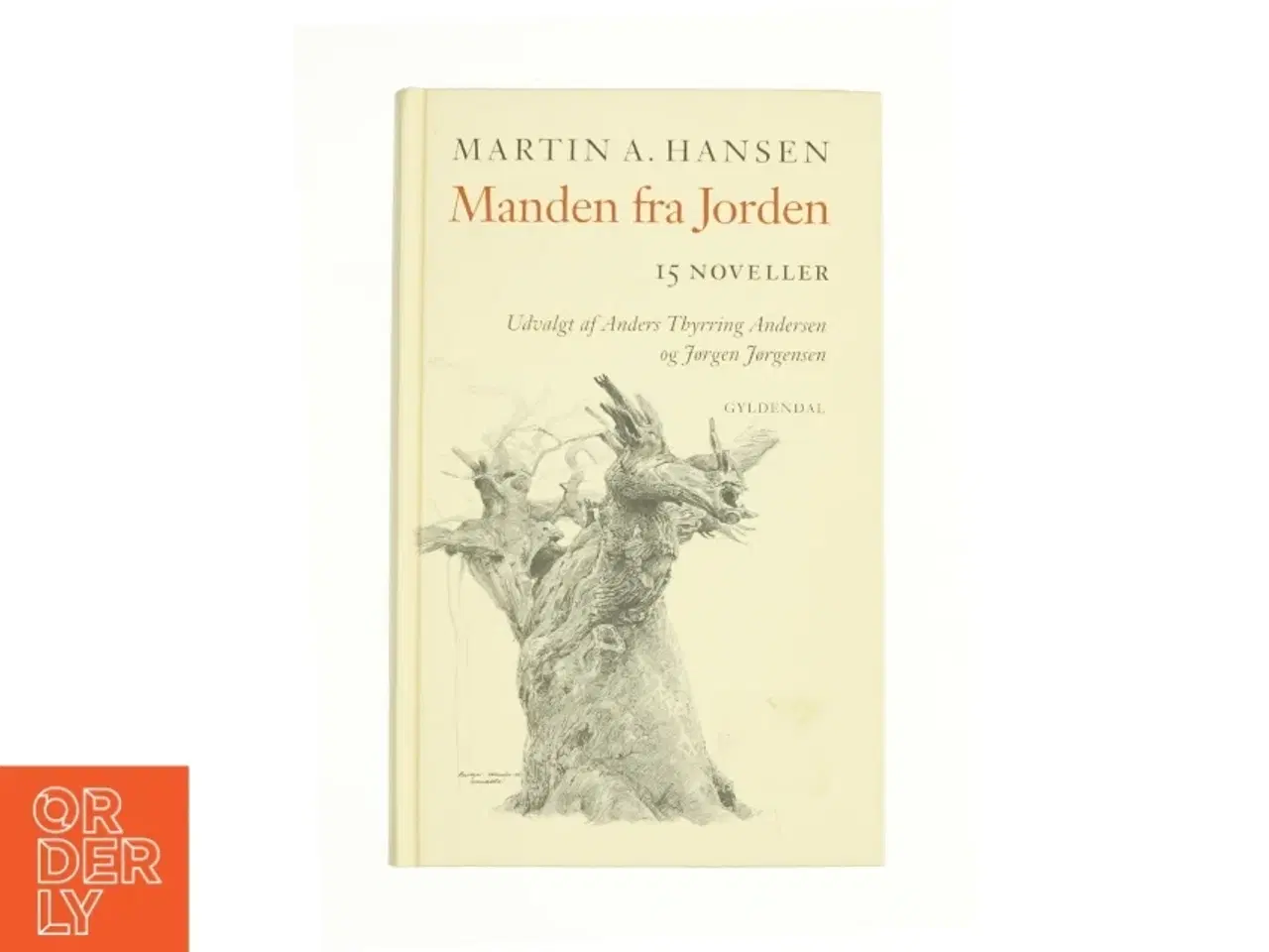 Billede 1 - Manden fra Jorden (Bog)