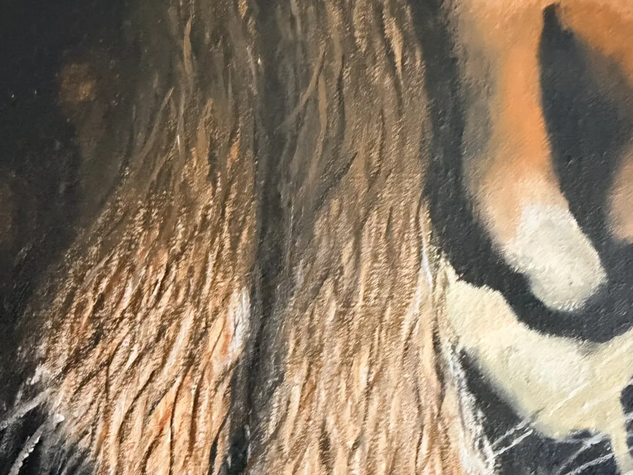 Billede 5 - Tiger - Oliemaleri (70x50 cm)