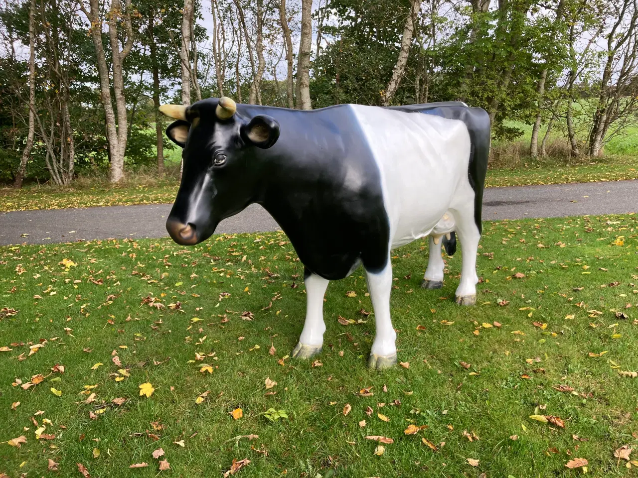 Billede 3 - Holstein ko