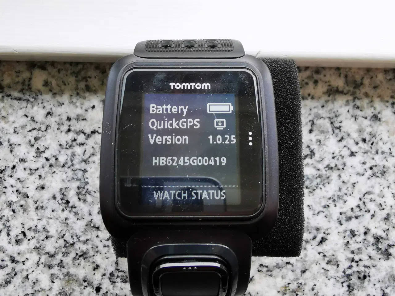 Billede 2 - TomTom Golfur 
