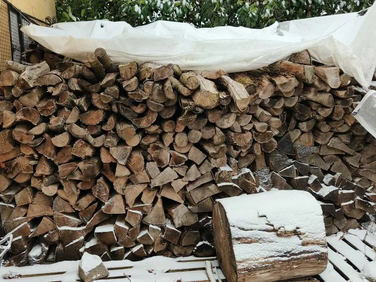 Billede 1 - Tørt blandet løvtræ