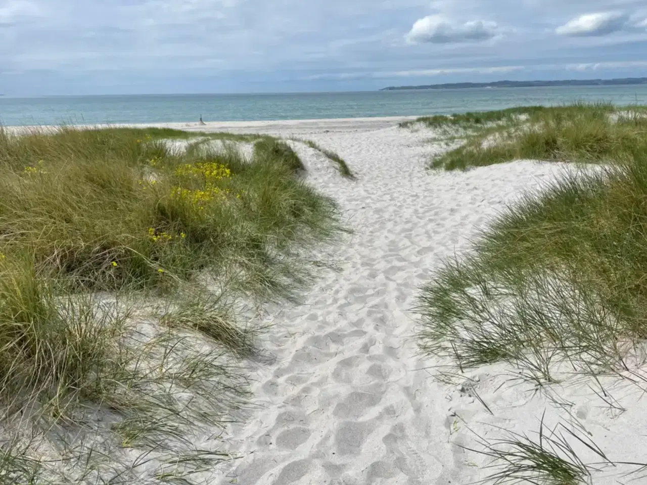 Billede 1 - Sommerhus i Ebeltoft udlejes