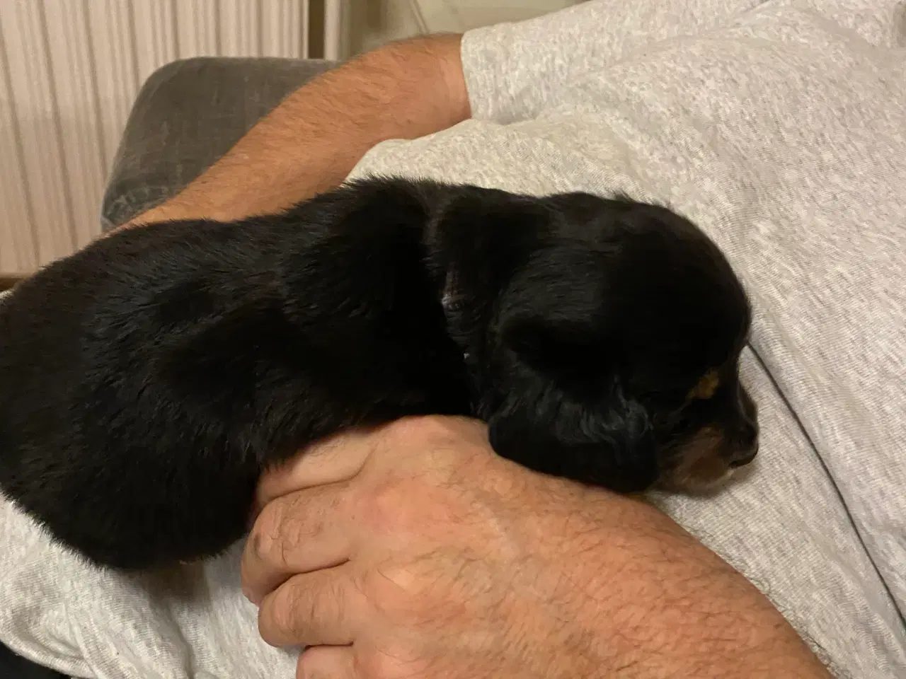 Billede 7 - 1 lille dreng tilbage 