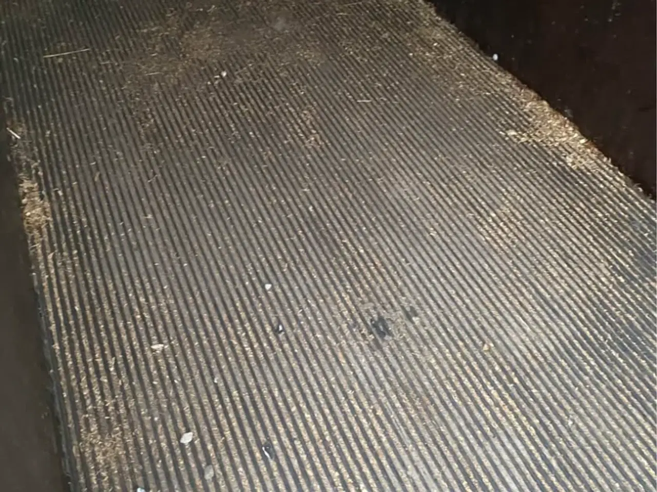 Billede 3 - Brenderup hestetrailer