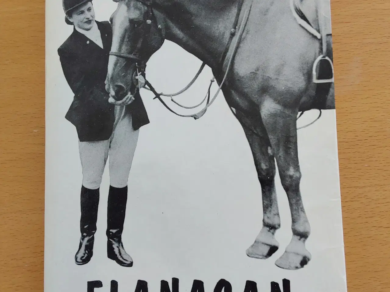 Billede 1 - Flanagan - Historien om en hest