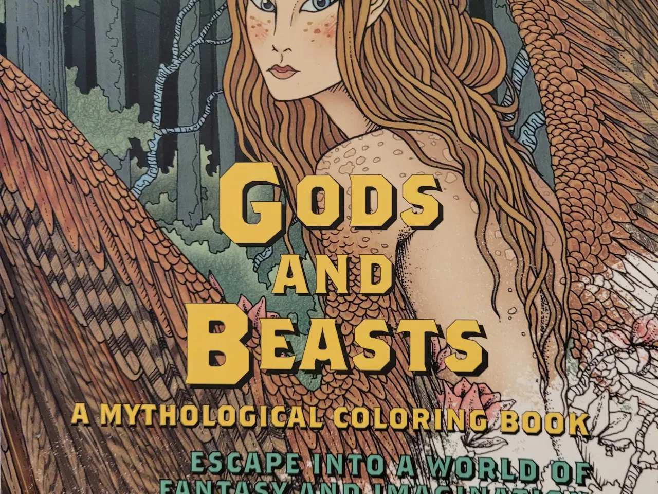 Billede 2 - Adam fishet Brødrene Grim og Johanna Basford