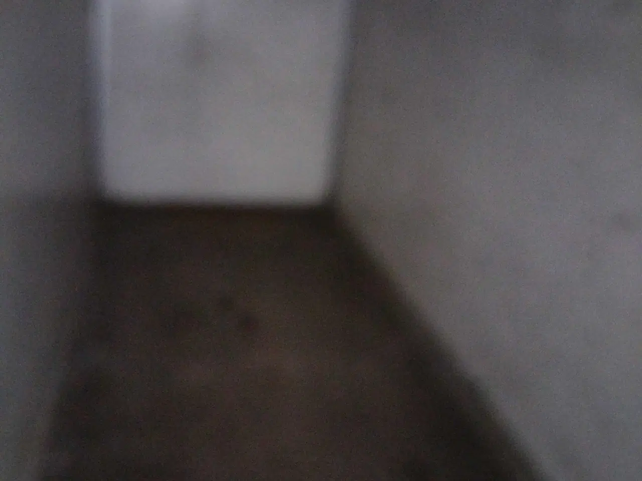 Billede 3 - God Fin cargo trailer med nogle år på bagen